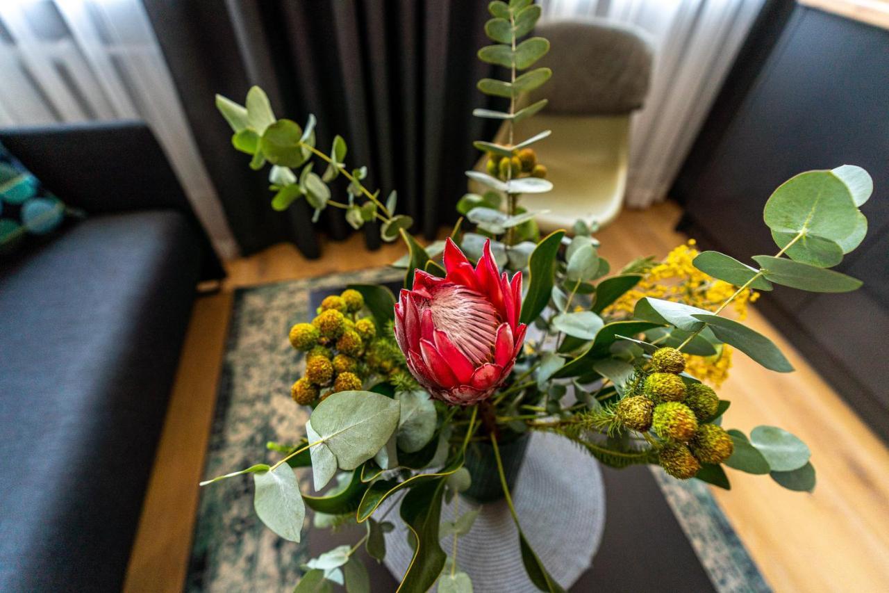 Beautiful Apartment In The Heart Of Каунас Экстерьер фото